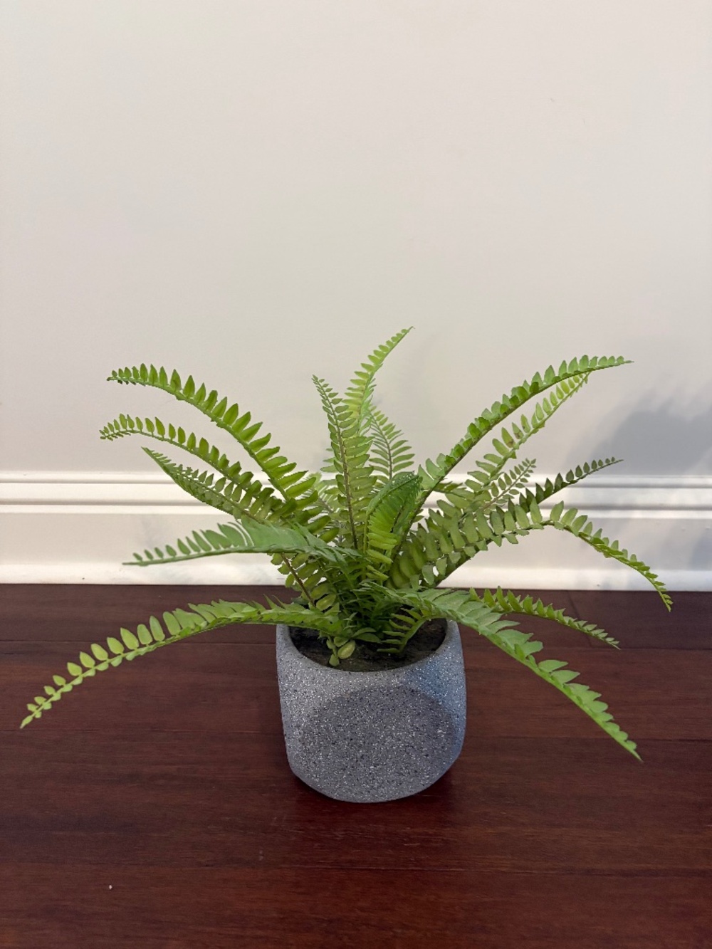 Artificial Plant